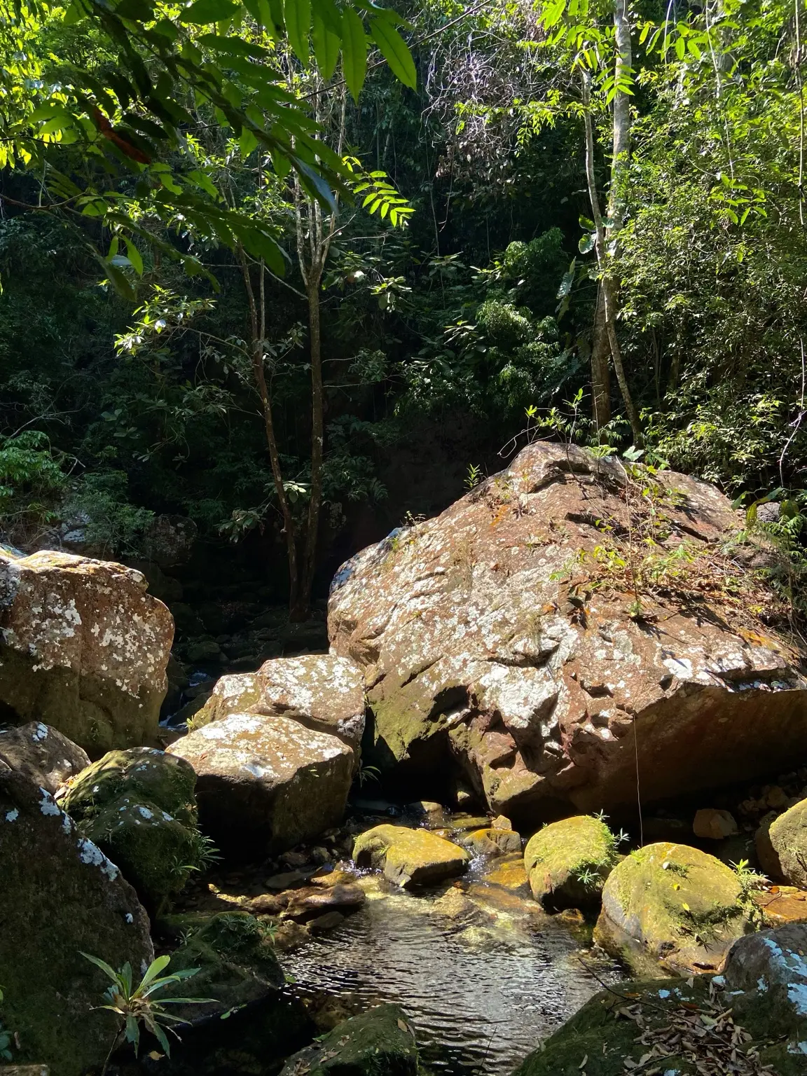 Córrego passando entre grandes pedras dentro da mata