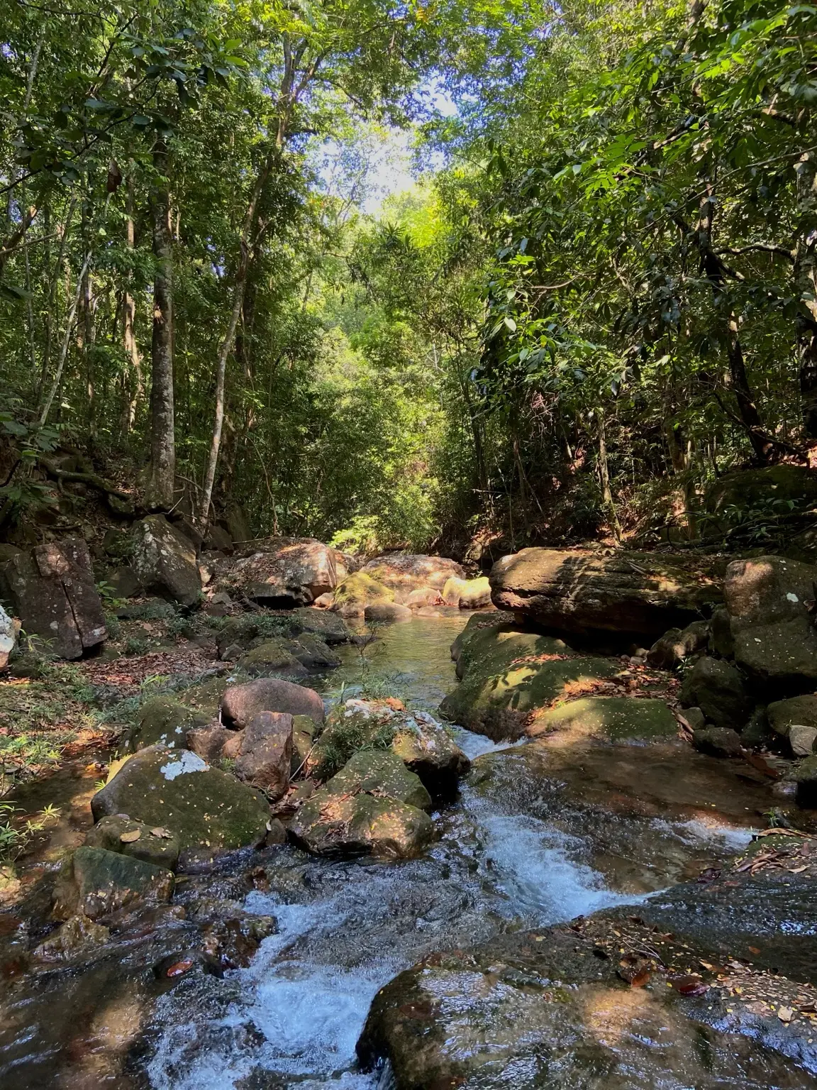 Água corrente e pedras sob a mata no roteiro do Cânion do Cipó